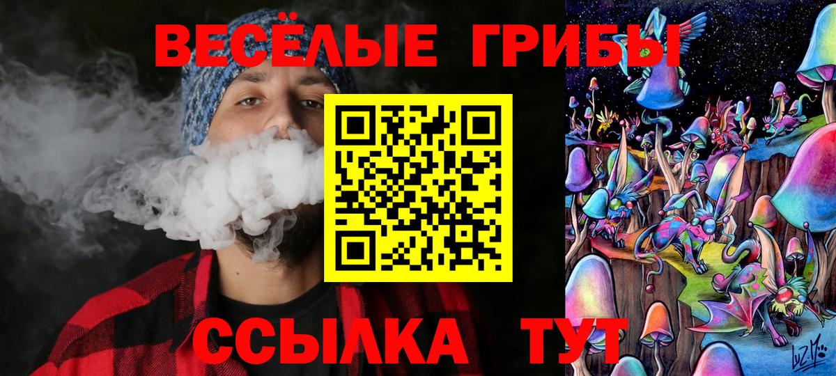 Россия  Галлюциногенные грибы Psilocybe  Псилоцибиновые грибы мицелий  Вход с VPN 
